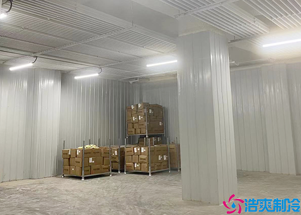 醫(yī)藥物流冷庫