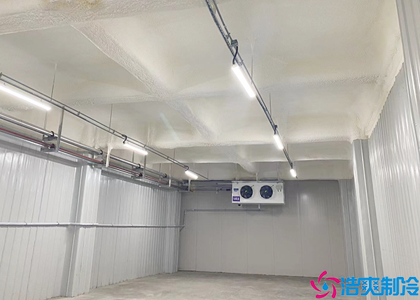  永州小型醫(yī)藥冷庫造價多少錢一平方？