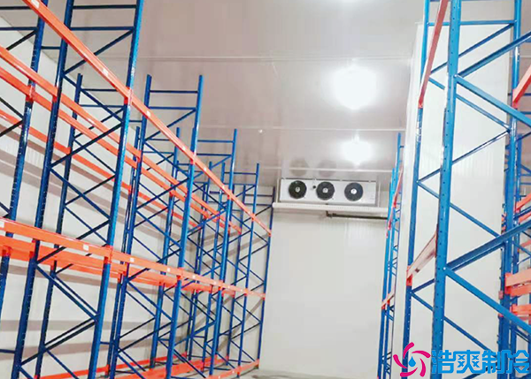 小型醫(yī)藥冷庫