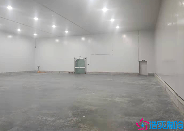 醫(yī)藥冷凍庫