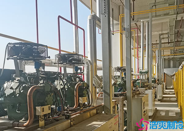 大型醫(yī)療冷庫