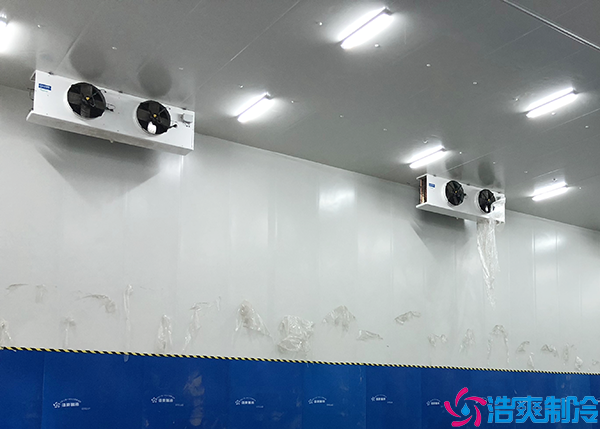  廣東中型醫(yī)藥冷庫(kù)建造企業(yè)