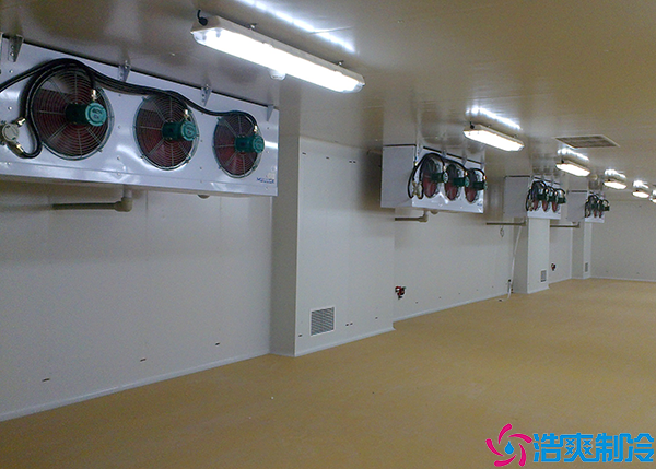  婁底醫(yī)藥冷凍庫(kù)建造項(xiàng)目有哪些？