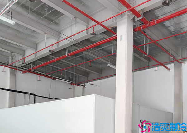 醫(yī)藥冷凍庫(kù)