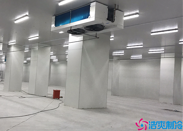  益陽醫(yī)療冷庫造價多少錢一平方？