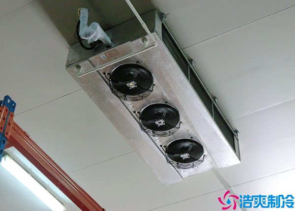 醫(yī)藥物流冷庫