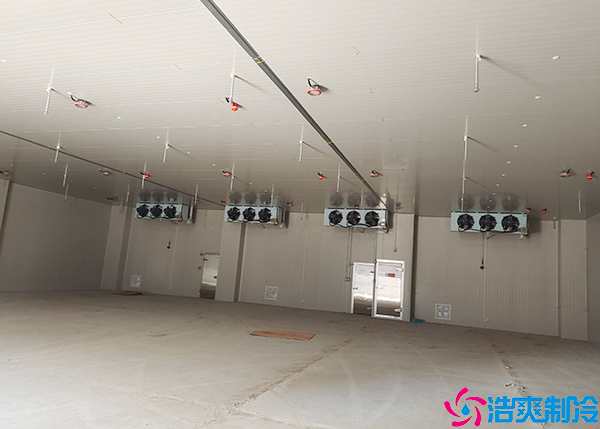  岳陽(yáng)醫(yī)藥冷庫(kù)保養(yǎng)中心：確保醫(yī)藥冷庫(kù)穩(wěn)定運(yùn)行的重要角色