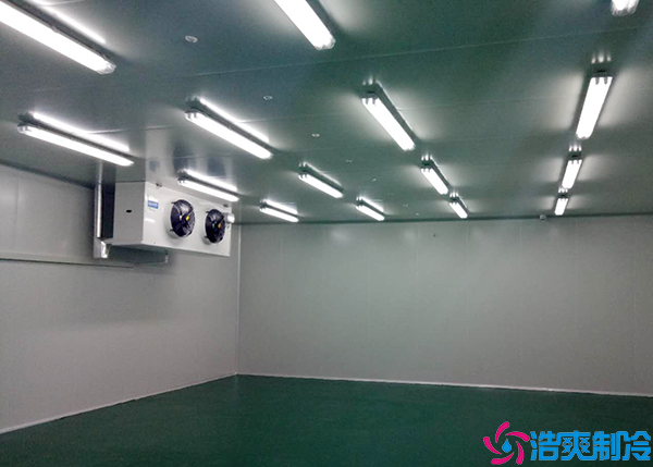  湖南小型醫(yī)療冷庫設備有哪些？