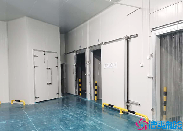  300懷化血漿冷庫建造價(jià)格多少錢？