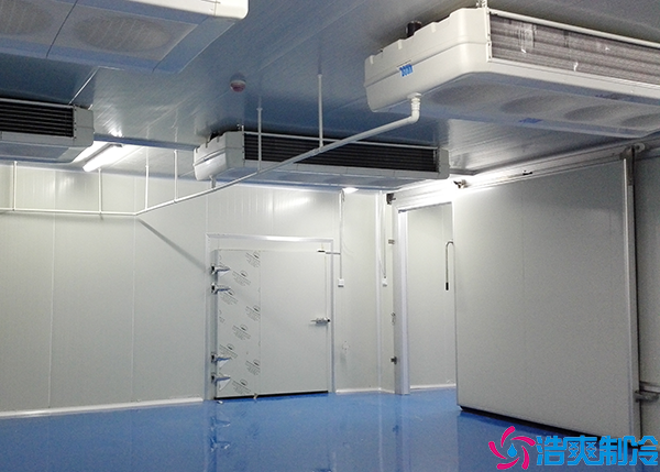 小型醫(yī)藥物流冷庫(kù)