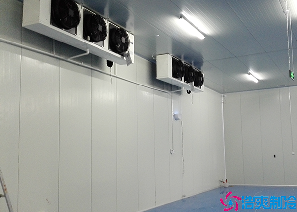  益陽(yáng)大型醫(yī)療冷庫(kù)建設(shè)項(xiàng)目有哪些？