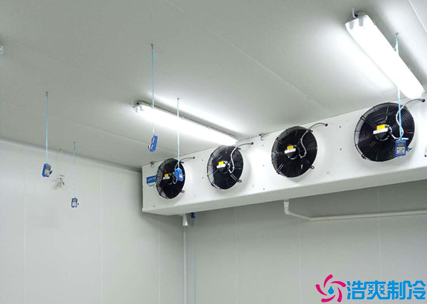  1500平江西醫(yī)藥冷凍庫建造價格分析