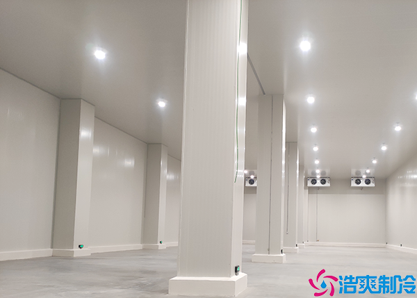  深圳GSP醫(yī)藥冷庫維修服務(wù)中心：為醫(yī)藥行業(yè)提供穩(wěn)定可靠的維修保障