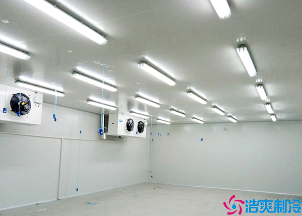  懷化醫(yī)藥冷庫建造廠商：為醫(yī)藥行業(yè)提供專業(yè)可靠的冷庫建設(shè)服務(wù)