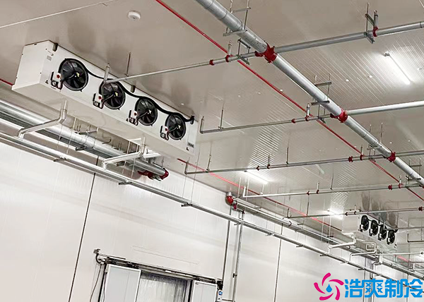 大型醫(yī)藥冷庫(kù)