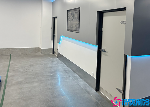 醫(yī)藥冷凍庫