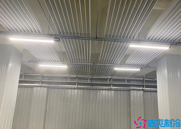 小型醫(yī)療冷庫