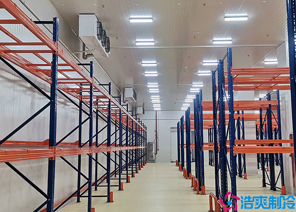 醫(yī)藥物流冷庫(kù)