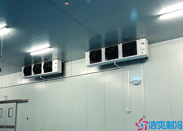 大型醫(yī)藥冷庫