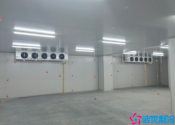  隨州大型藥品冷庫(kù)建造廠家