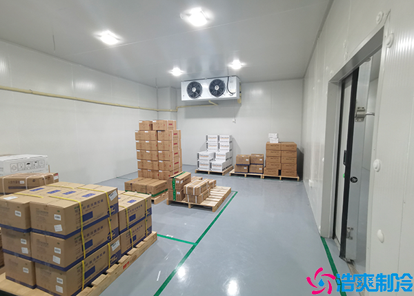 大型醫(yī)藥冷庫