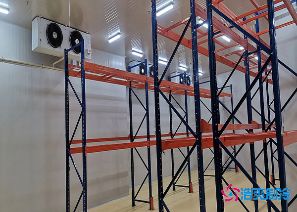  衡陽(yáng)大型醫(yī)藥冷庫(kù)的安全設(shè)計(jì)