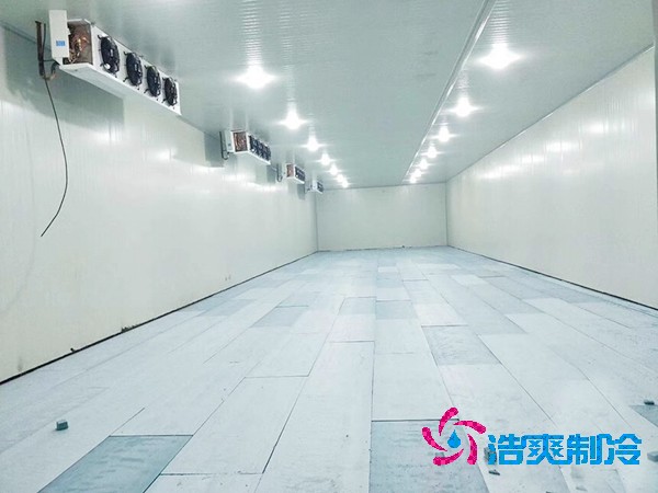 三甲醫(yī)院100㎡藥品冷藏庫建造價格