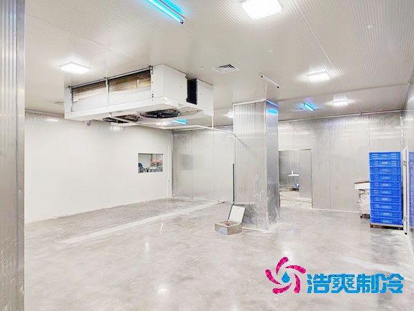 醫(yī)藥冷凍庫安裝要點(diǎn)及注意事項(xiàng)有哪些？