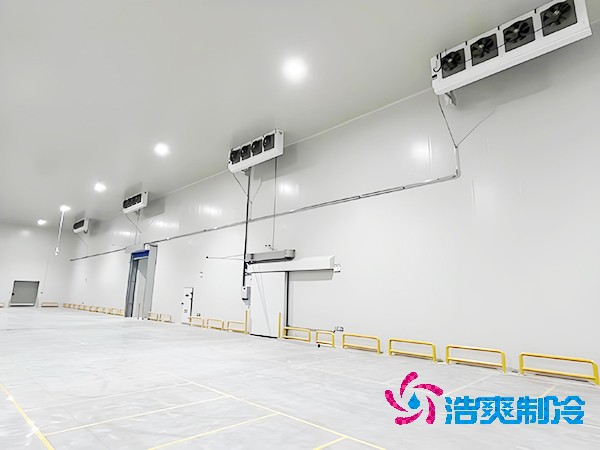  建設(shè)大型醫(yī)藥疫苗冷庫(kù)的設(shè)計(jì)規(guī)范與要求