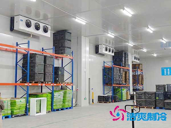 要建設(shè)一個(gè)醫(yī)藥冷庫大概需要多少資金呢？