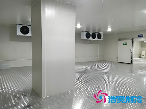 關(guān)于血液血漿冷庫建造的核心要點解析