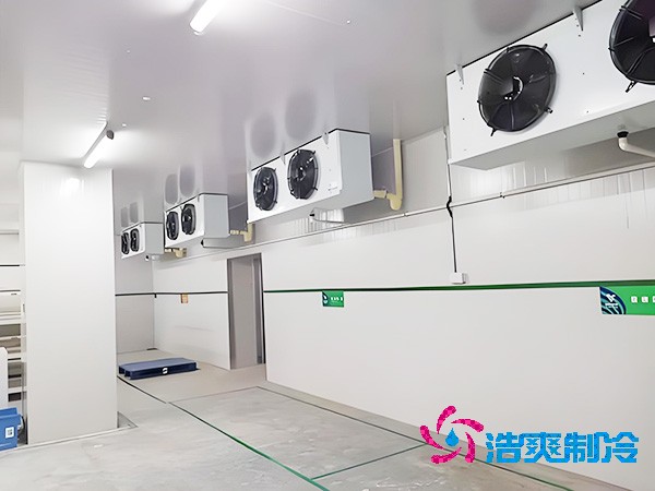 醫(yī)用生物制品冷庫造價