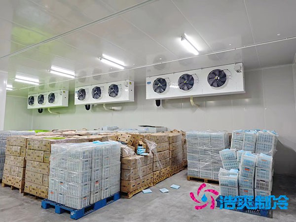 智能醫(yī)藥冷庫安裝方案與造價概覽