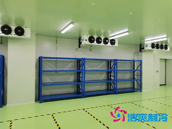 國(guó)內(nèi)知名試劑冷庫(kù)設(shè)計(jì)安裝廠家