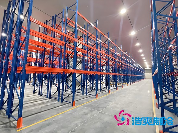 藥廠專業(yè)凍庫建造承接單位