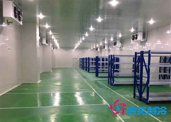 醫(yī)藥冷庫造價一平米竟要這么多錢？溫度決定成本！