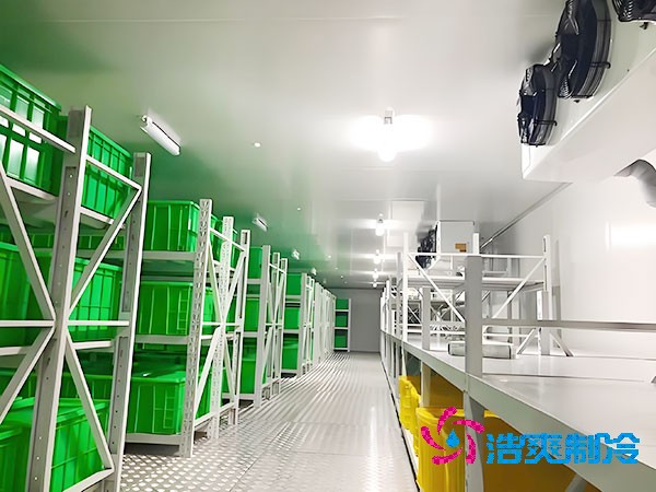 4-6萬建智慧醫(yī)藥冷庫？揭秘造價關(guān)鍵因素！