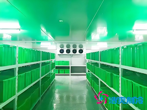 三級醫(yī)院建設(shè)醫(yī)用耗材冷庫面積標(biāo)準(zhǔn)