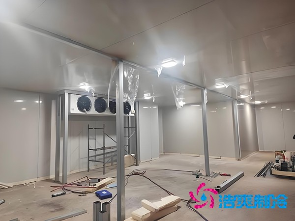  新建生物醫(yī)藥冷庫的造價(jià)預(yù)算與深度解析