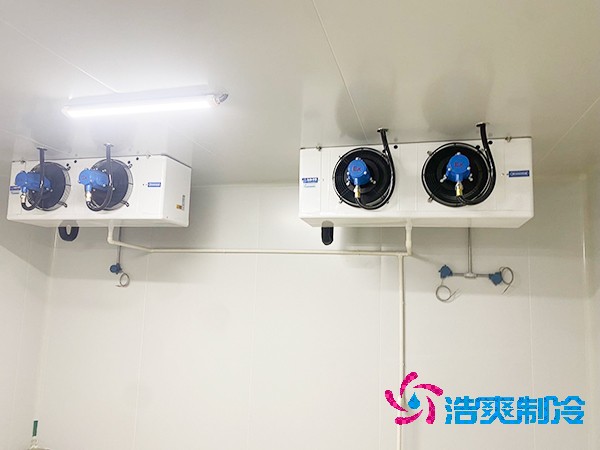 上海建設(shè)醫(yī)藥冷庫造價(jià)費(fèi)用大概多少錢？