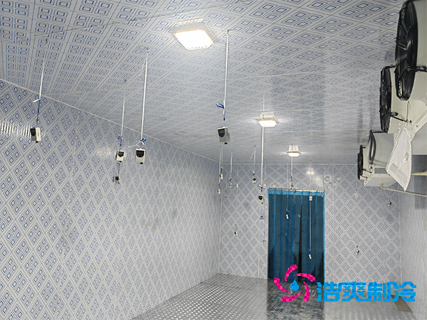 建造100平方米醫(yī)藥凈化冷庫造價(jià)預(yù)算多少錢?