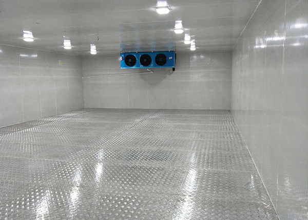  建造醫(yī)療藥品冷庫（低溫倉庫）造價成本多少錢？