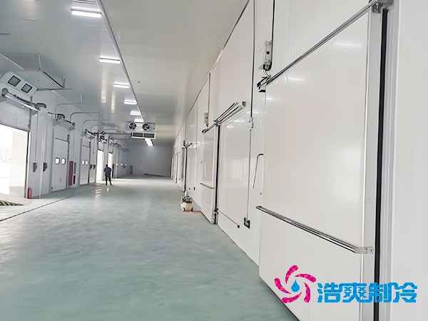  800立方醫(yī)藥冷庫造價(jià)大概多少錢？