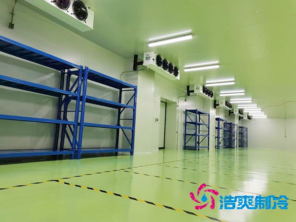 存儲微生物細(xì)菌的醫(yī)藥冷庫造價成本多少錢？