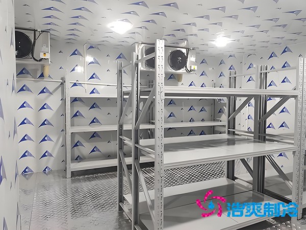 醫(yī)療器械三類證冷庫