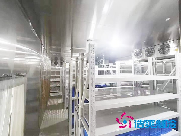 醫(yī)藥冷庫設(shè)計(jì)建造