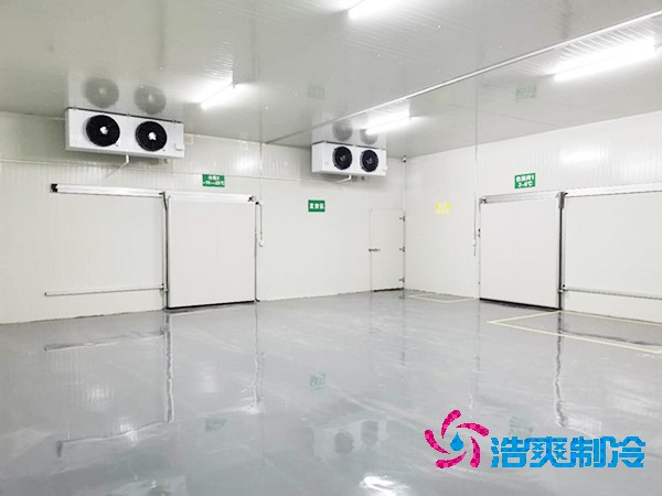 醫(yī)藥冷庫設(shè)計建造